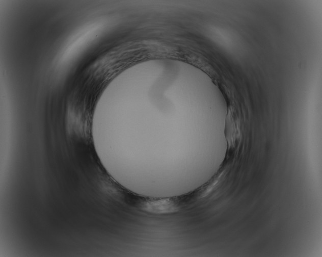 X0000086770431200705041512
