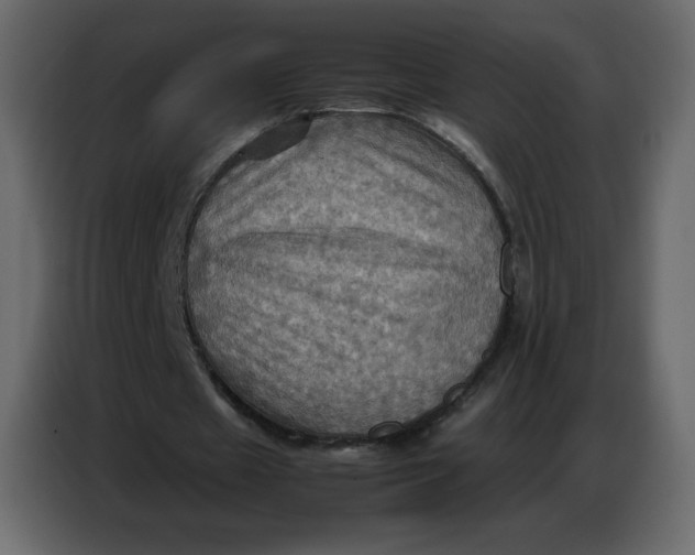 X0000086770433200705041511