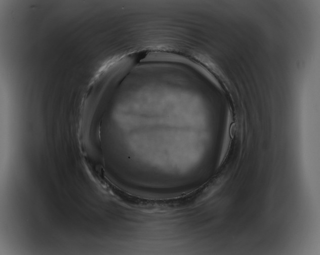 X0000086770434200705041511
