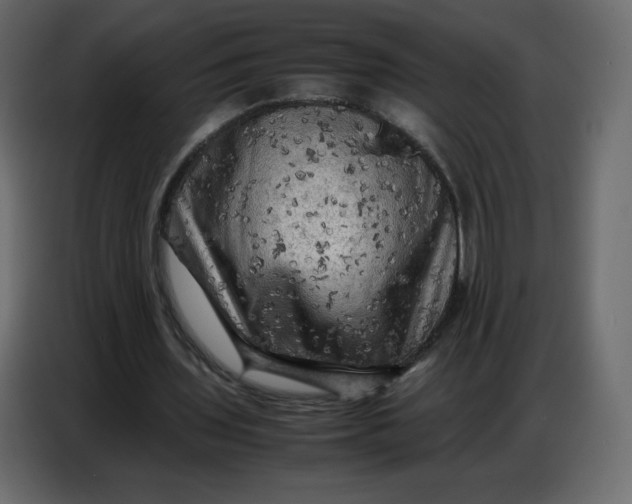 X0000086770435200705041511
