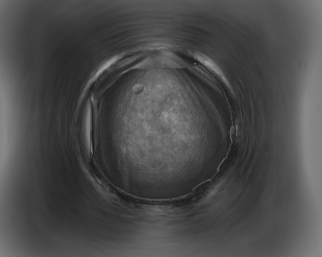 X0000086770436200705041511