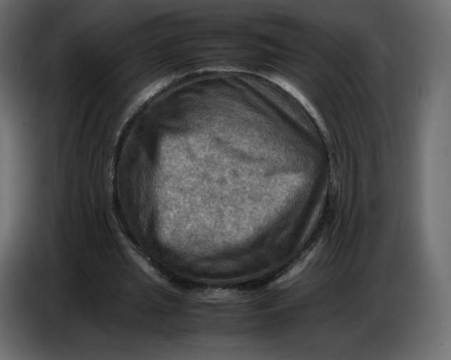 X0000086770437200705041511
