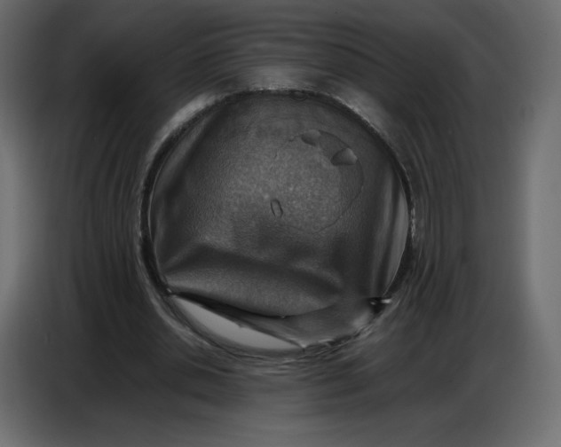 X0000086770438200705041511