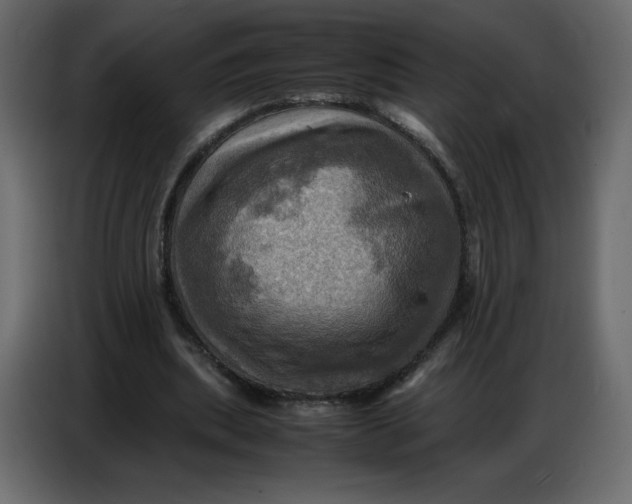 X0000086770439200705041511