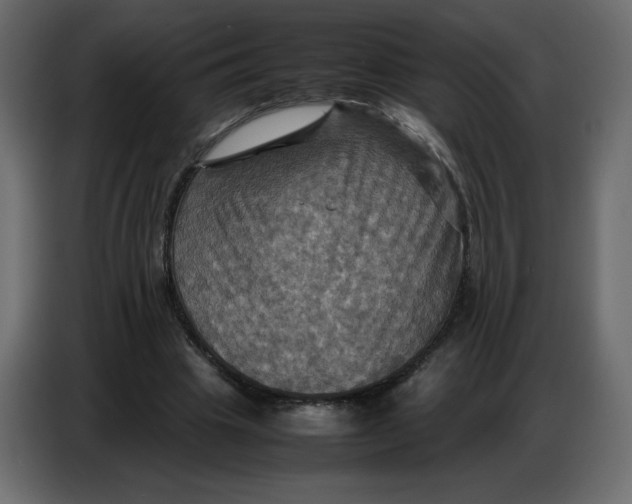 X0000086770441200705041511