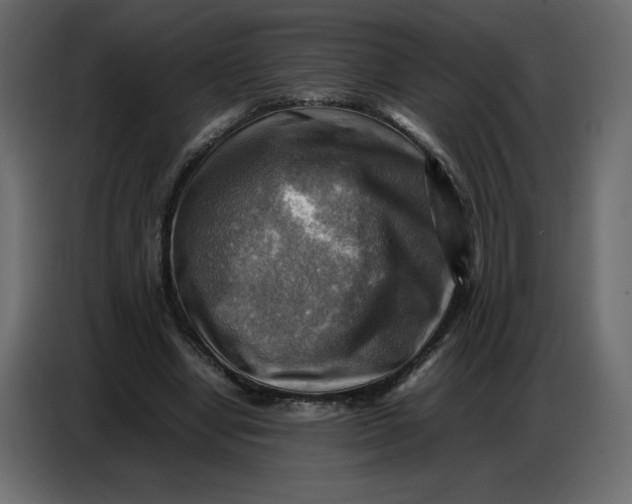 X0000086770442200705041511