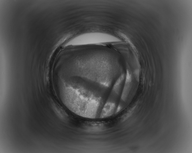 X0000086770443200705041511