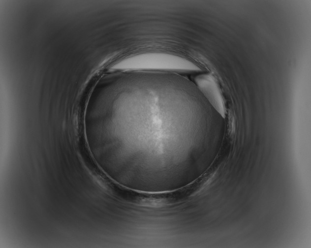 X0000086770444200705041511