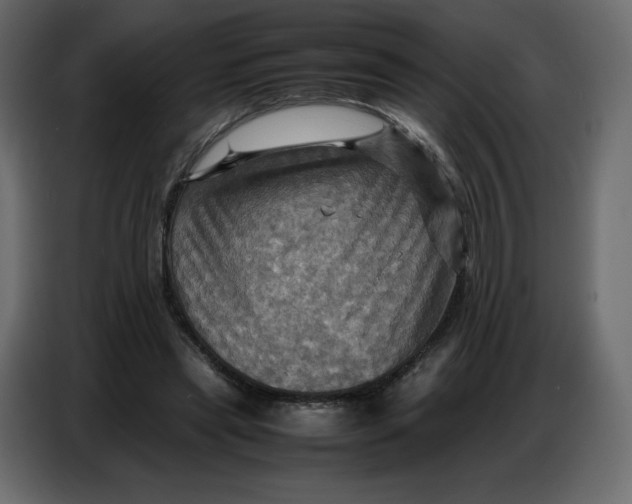 X0000086770445200705041511