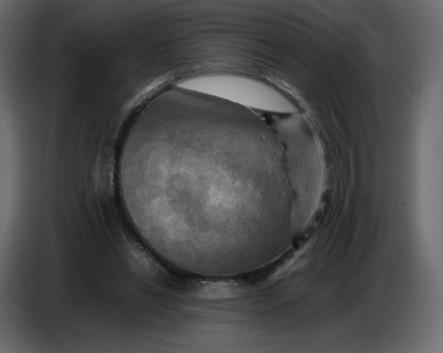 X0000086770446200705041511