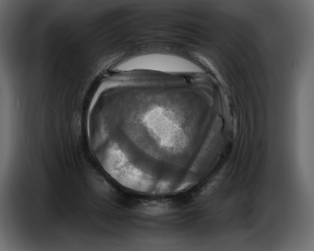 X0000086770447200705041511