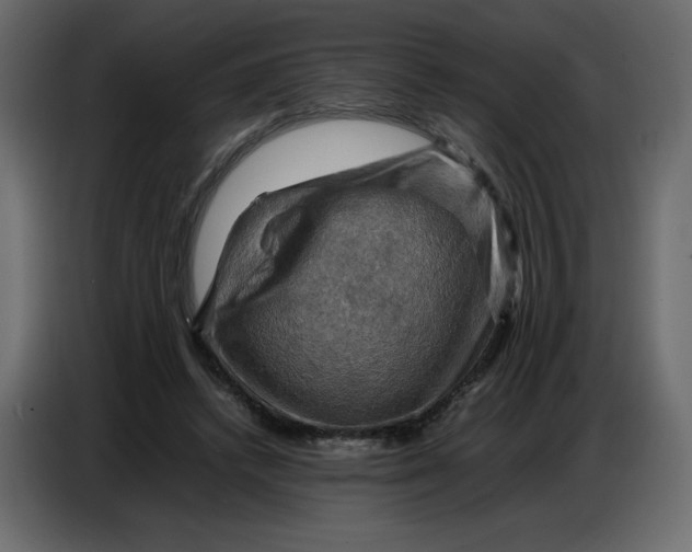 X0000086770448200705041511