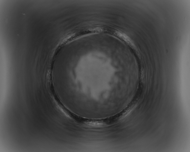 X0000086770449200705041511