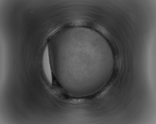 X0000086770450200705041511