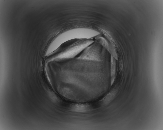 X0000086770453200705041511