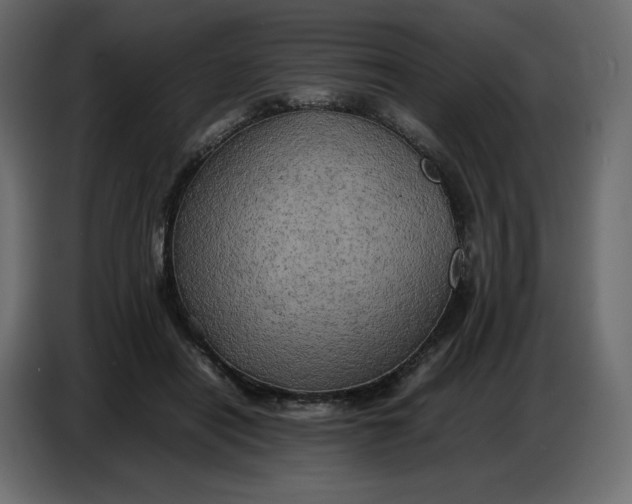 X0000086770454200705041511