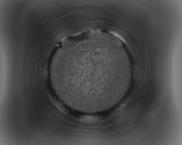 X0000086770455200705041511