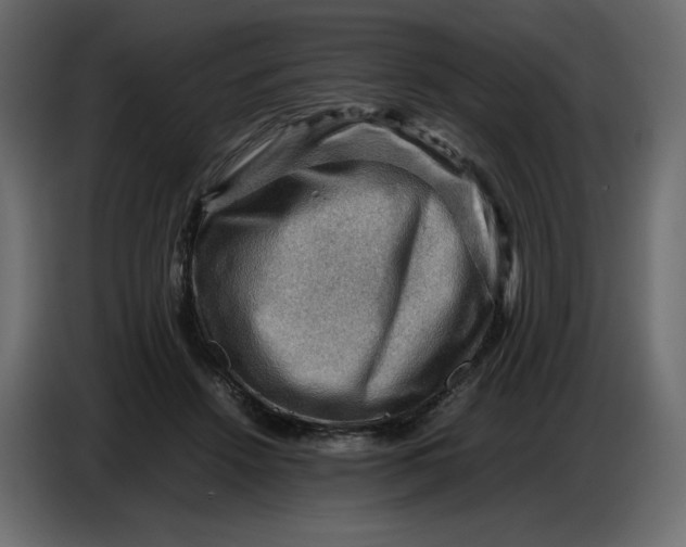 X0000086770456200705041511