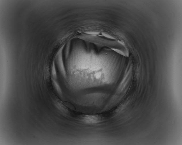 X0000086770457200705041511