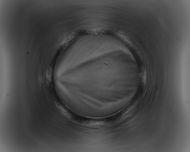 X0000086770458200705041511