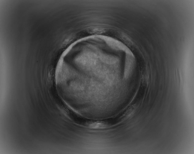X0000086770460200705041511