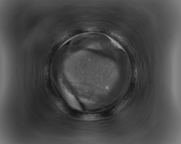 X0000086770461200705041511