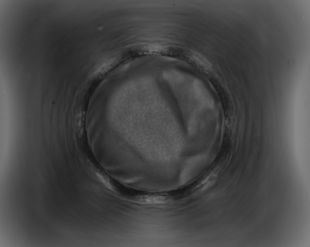 X0000086770462200705041511