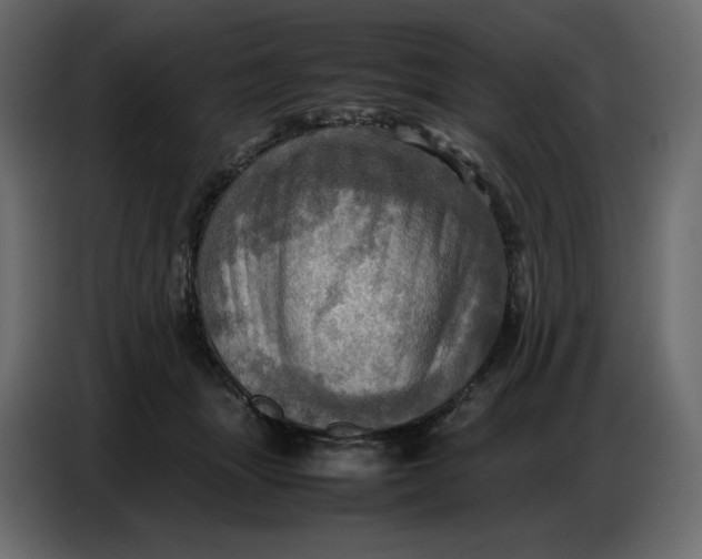 X0000086770463200705041511