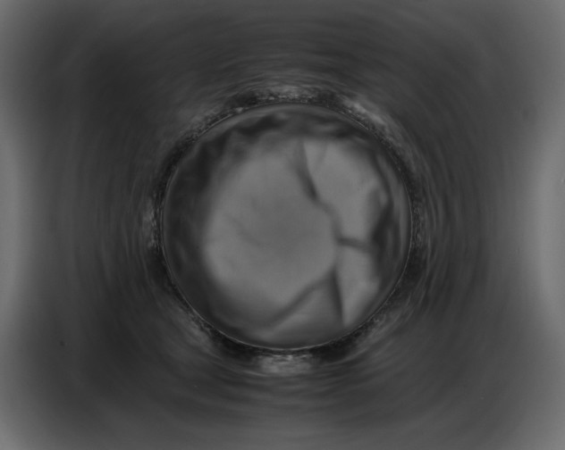 X0000086770465200705041511