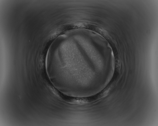 X0000086770466200705041511