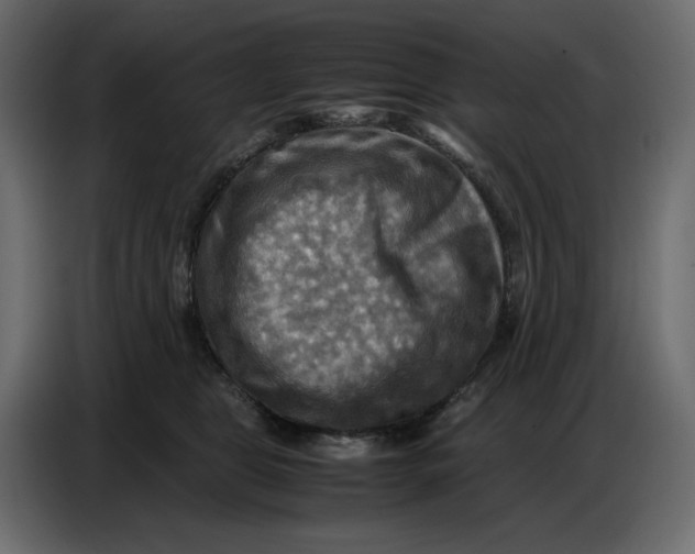 X0000086770469200705041511