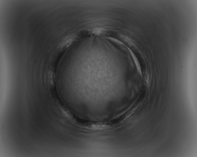 X0000086770470200705041511