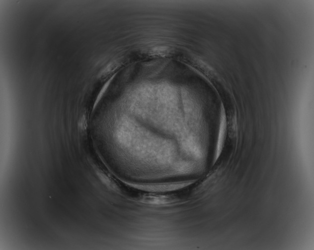 X0000086770472200705041511