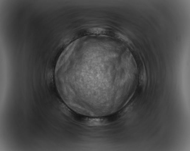 X0000086770473200705041511