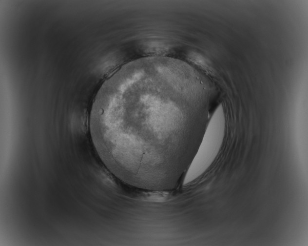 X0000086770474200705041511