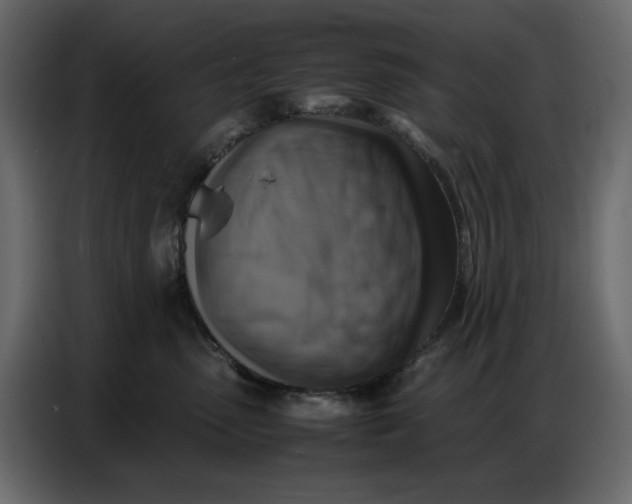 X0000086770475200705041511
