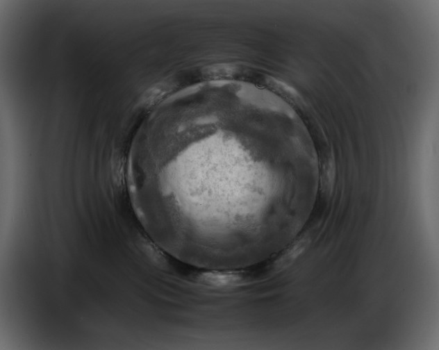 X0000086770477200705041511
