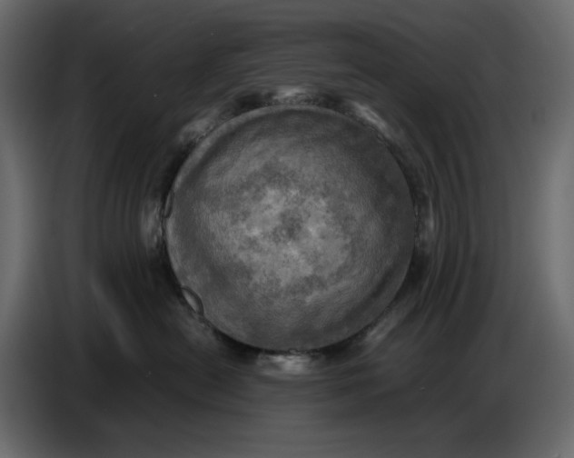 X0000086770478200705041512