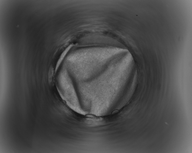 X0000086770480200705041512