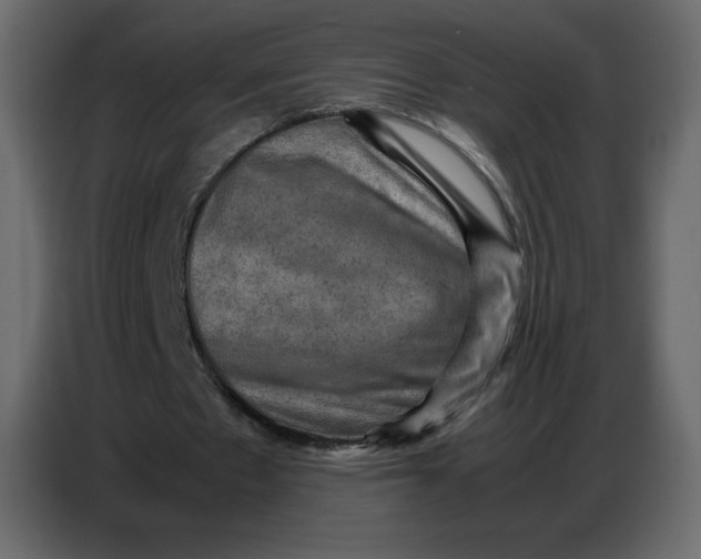X0000086770481200705041511