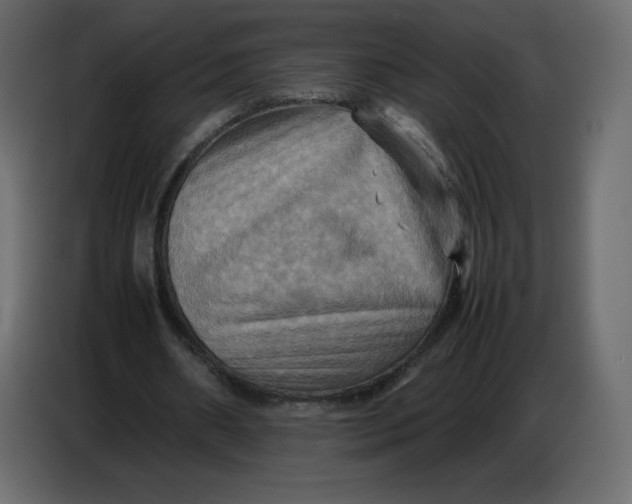 X0000086770482200705041511