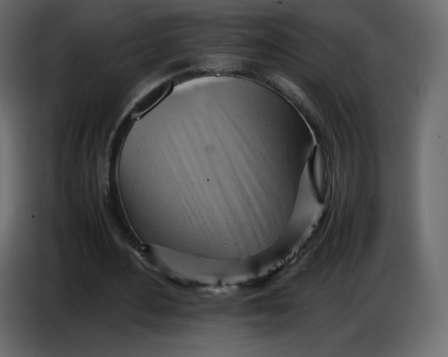 X0000086770484200705041511