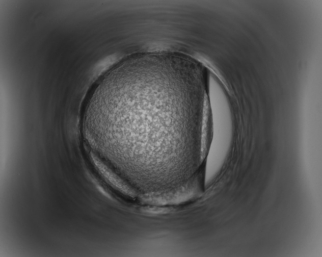 X0000086770485200705041511