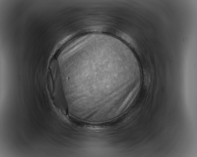 X0000086770486200705041511