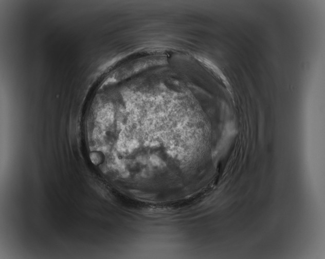 X0000086770487200705041511