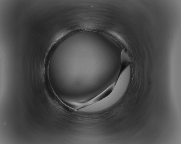 X0000086770488200705041511