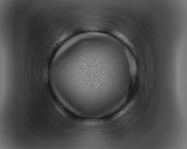 X0000086770489200705041511