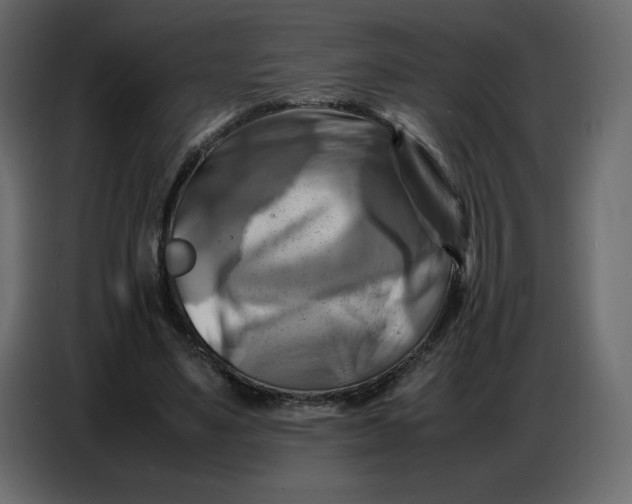 X0000086770491200705041511