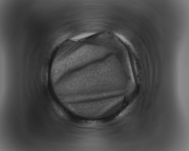 X0000086770493200705041511