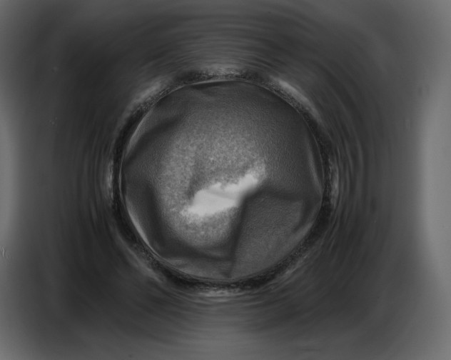 X0000086770494200705041511